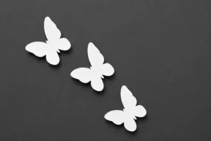 Acrylic Butterfly Decor Pieces | Glossy Butterfly Cutouts for Crafts & Home Decor – Small, Medium, Large & Mix Pack (6/12 Pcs)